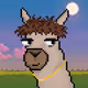 BerniGong