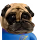 lkdfadskjhf