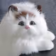 mimijohn