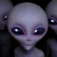 0x96902accb661f959e47ec52f40579a7fbee284f9