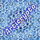 Articrypto
