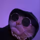 notzorq