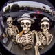 Skull_Headx