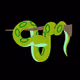 vikkvivo