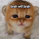 0x96e3aa0904bca4843f4d5635edafa829e137f633