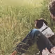 luckyrabbit140