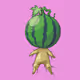 IDJT