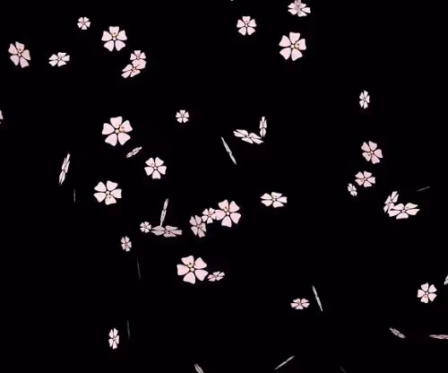 OpenSea banner for @Yassmin