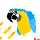 78687676