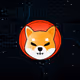 ShibassInu
