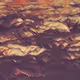 0x9772531664c370b32dd7b1dfd0afbe190f8978ae