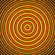 d3135