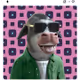 JohnnyJohnnyYesPapa
