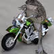 0x9784458f9293dcfb052b60834701dabcef8db3d4