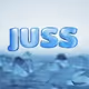 0xJuss