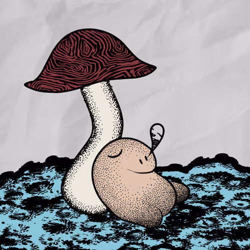OpenSea profile picture for @Alto