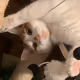 NotQuiteDeadJoe