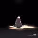 xiaomaoJKJGF