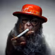 THE_AiPES