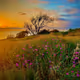 0x9809962a900ed8365445cc68d86e7c32bf8809d7