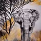 SuMa_Studios