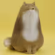 JinSakai_NFT