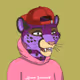 0x98341fc6ccc160ad92c1f14217a0f42961dc892b