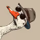 GrayGoose