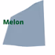 Melon15