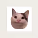 JORBi3
