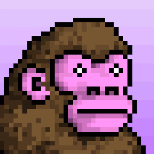 OpenSea profile picture for @wallace
