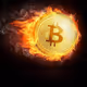 coinlistwhale