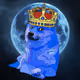 Dogeyguy