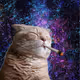 CuzEyeCannabis