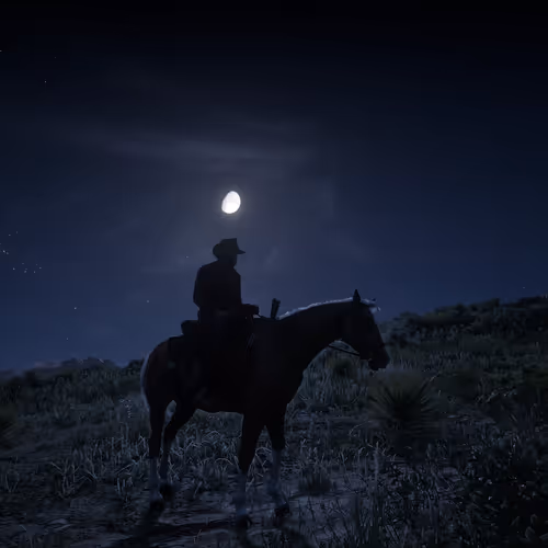OpenSea profile picture for @Westerns