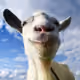 RunLikeGoatRun