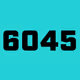 6045_