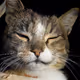 UWUngmiUWU