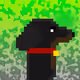 Kewlsq