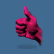 Mr_Bishnu