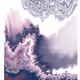 Liquidifies