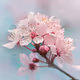 KKHB_1011