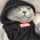 Fijek