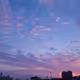 Spring_wind