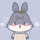 nokawinters