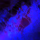 0x998feabc1bb485420a5f5fc4fbb7f8be67978ab9