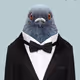 mr_drach
