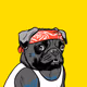 T_bone