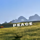 CONVICTION-72378d4a05