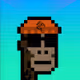 AKRaw